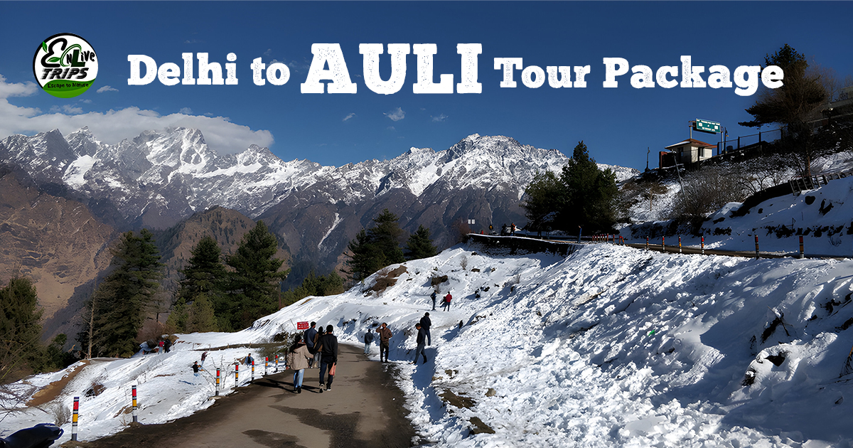 Delhi to Auli tour package